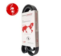 تسمه دینام سیتروئن C5 - برند دانگیل (DONGIL) کره